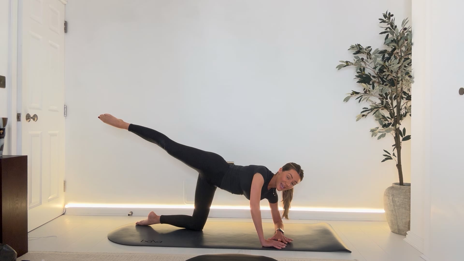 12.FORM 20 min-ish Back to Basics Full Body Form Masterclass