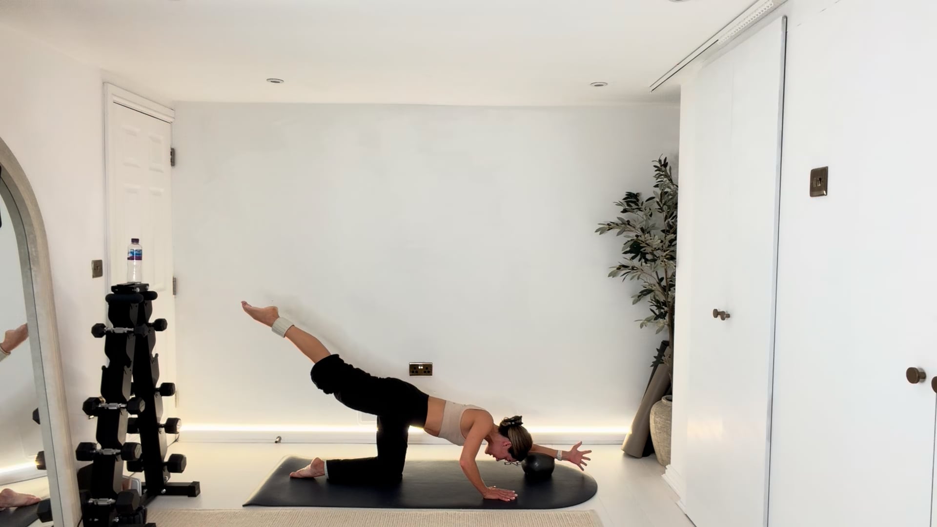 NEW 25 min Lower Body Burn Ball & Ankle Weights