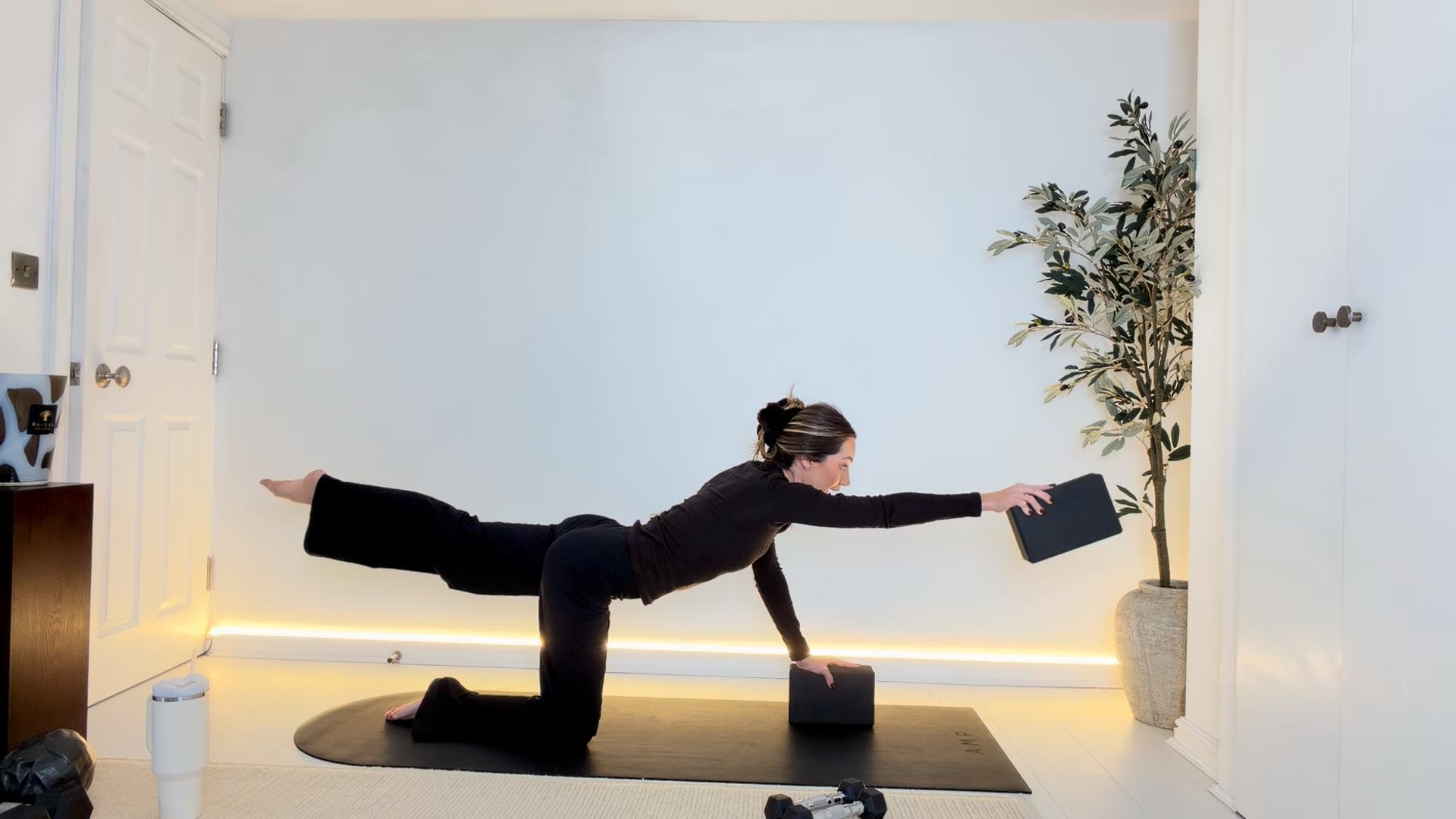 25 min Precision & Strength Class with Blocks & Optional 1kg Hand Weights