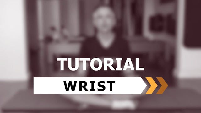 04_Wrist_Tutorial_v2
