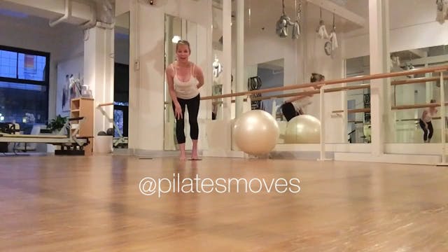 3.pilates.on.the.ball.xl.with.sliders...