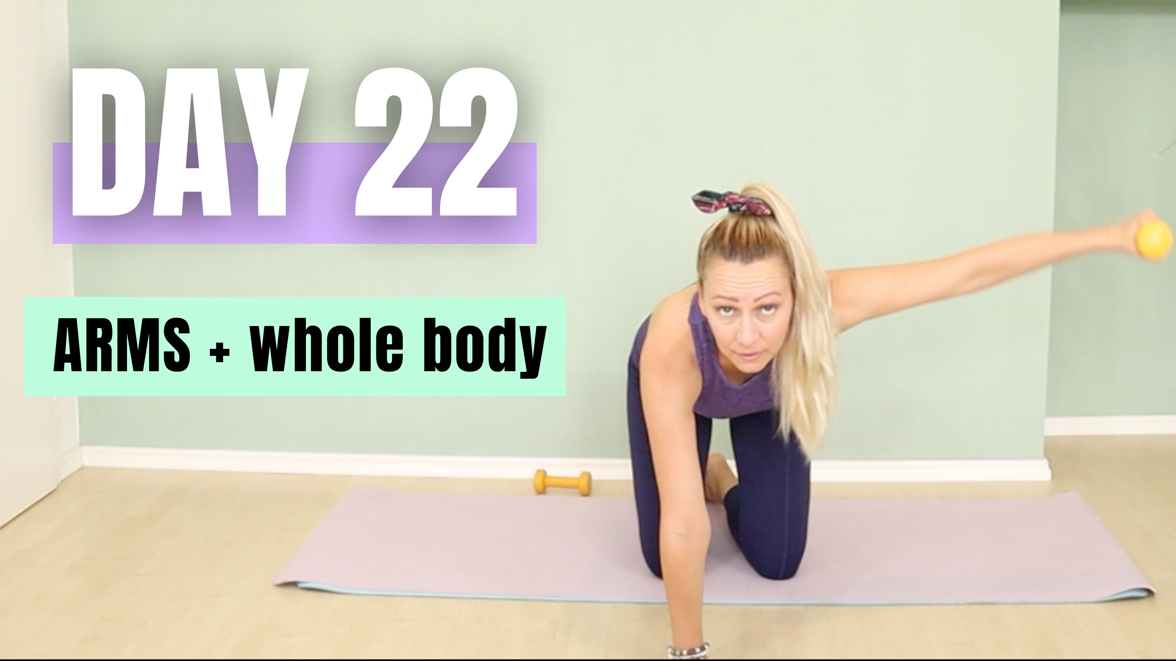 DAY 22_Arms, Core, Legs and Back Workout