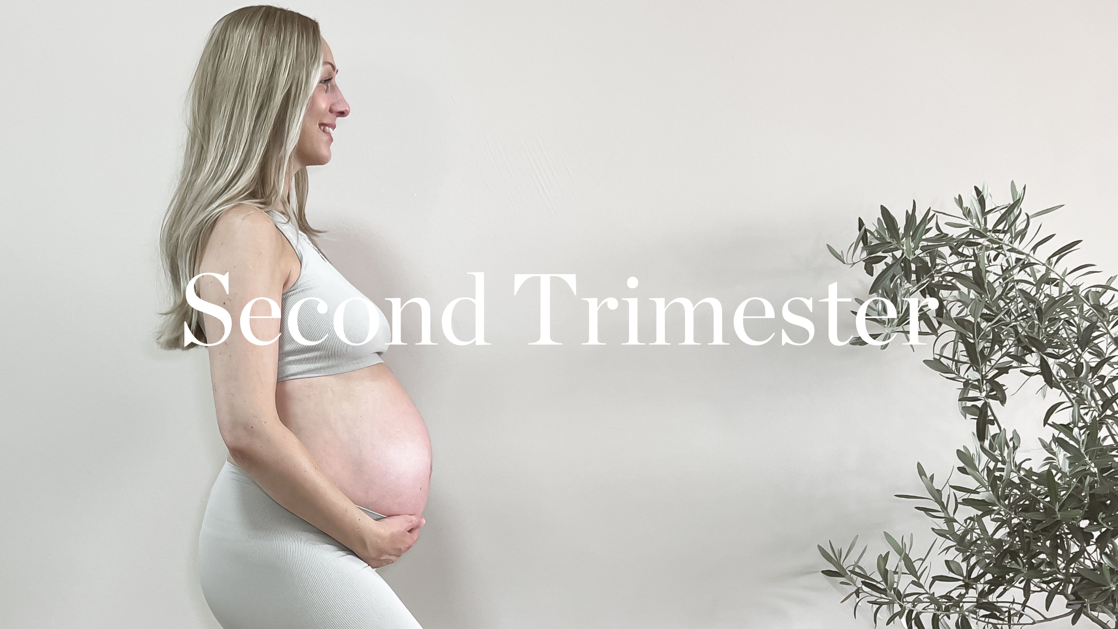 SECOND TRIMESTER