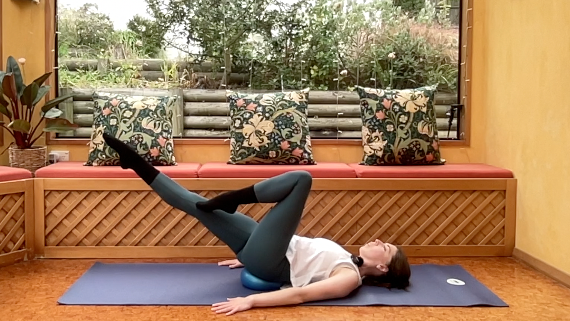 15min Lower Ab Workout with Ball 