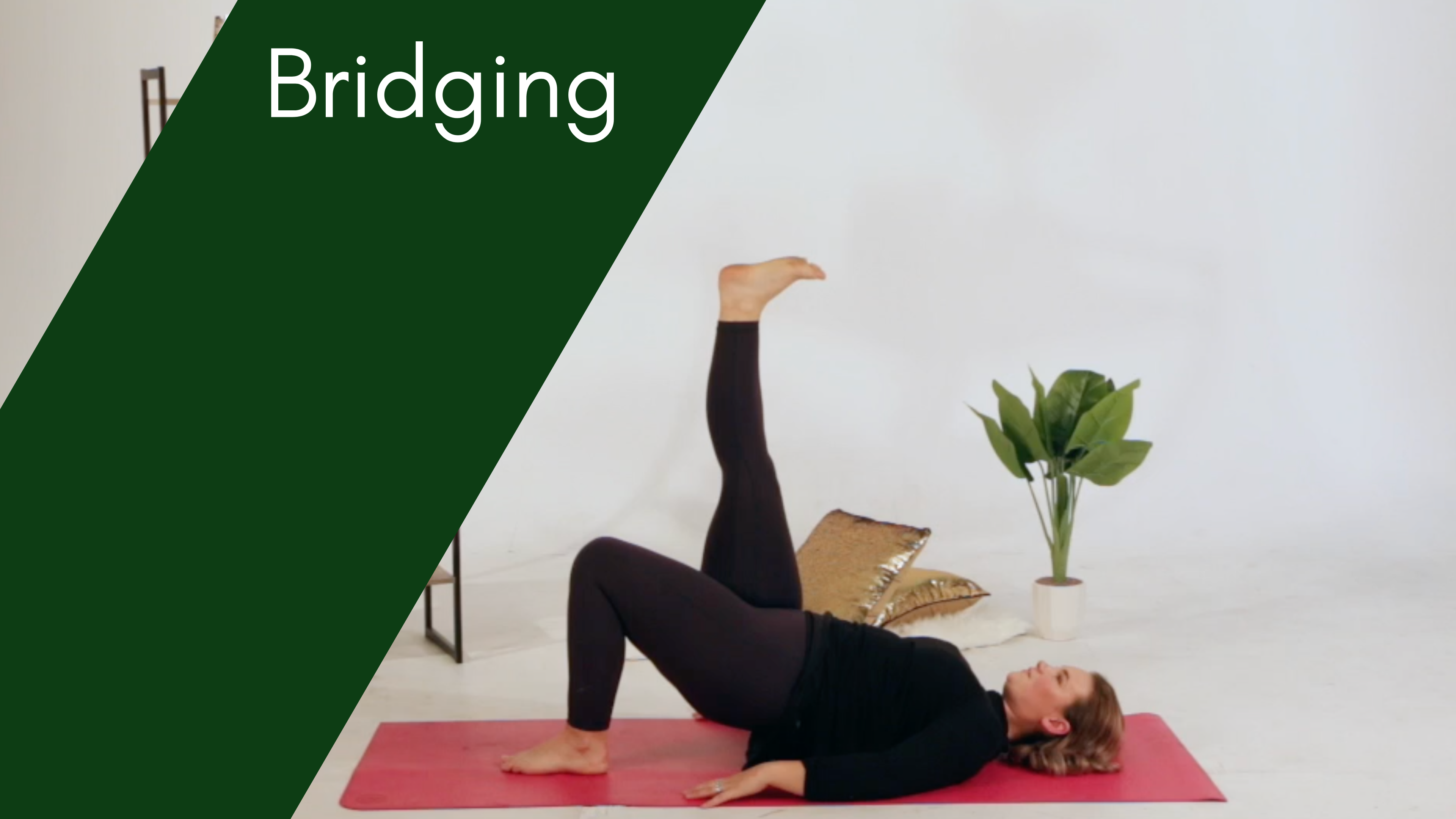 #8 Intermediate Bridging