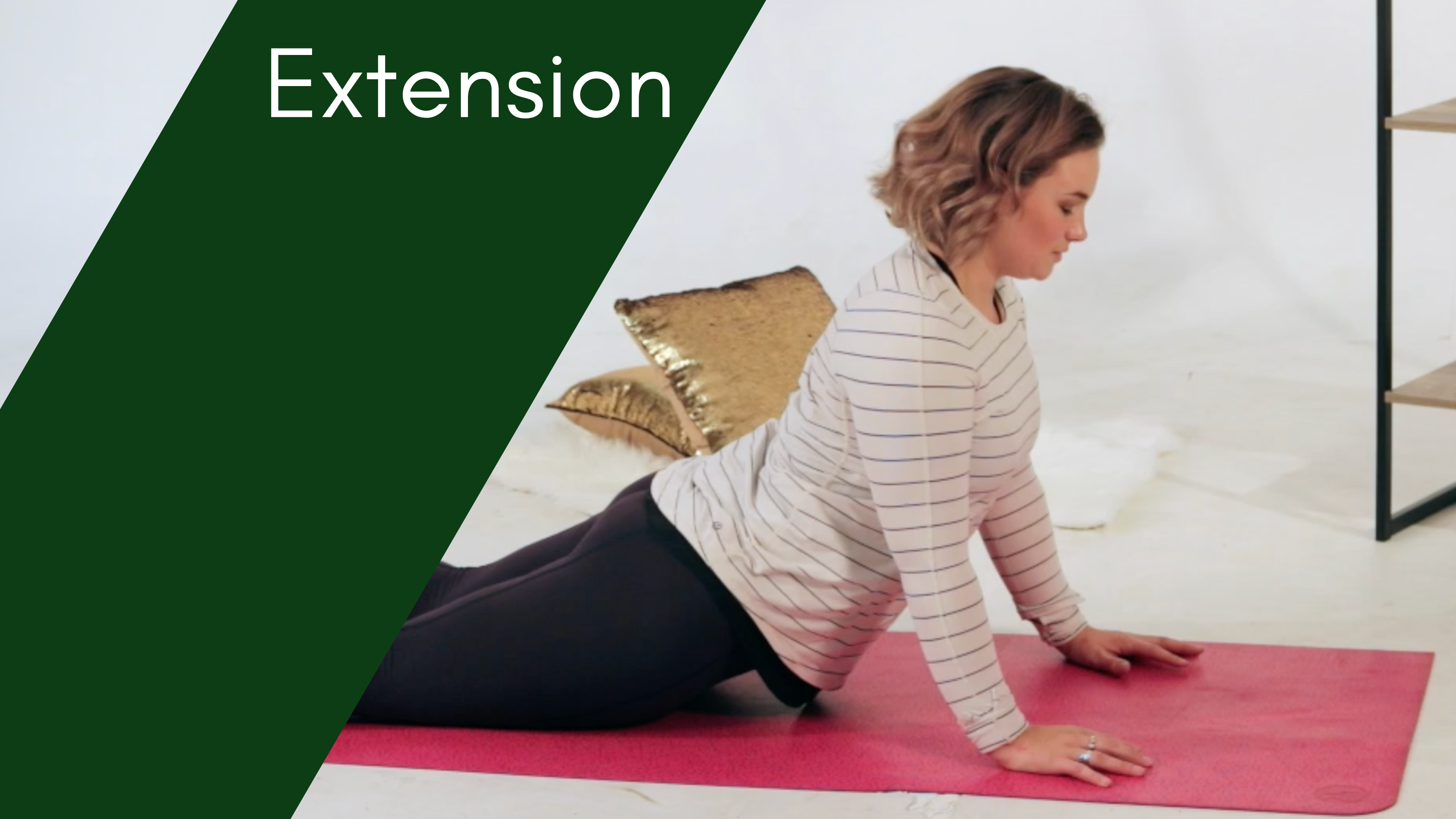 #4 Intermeditae Extension