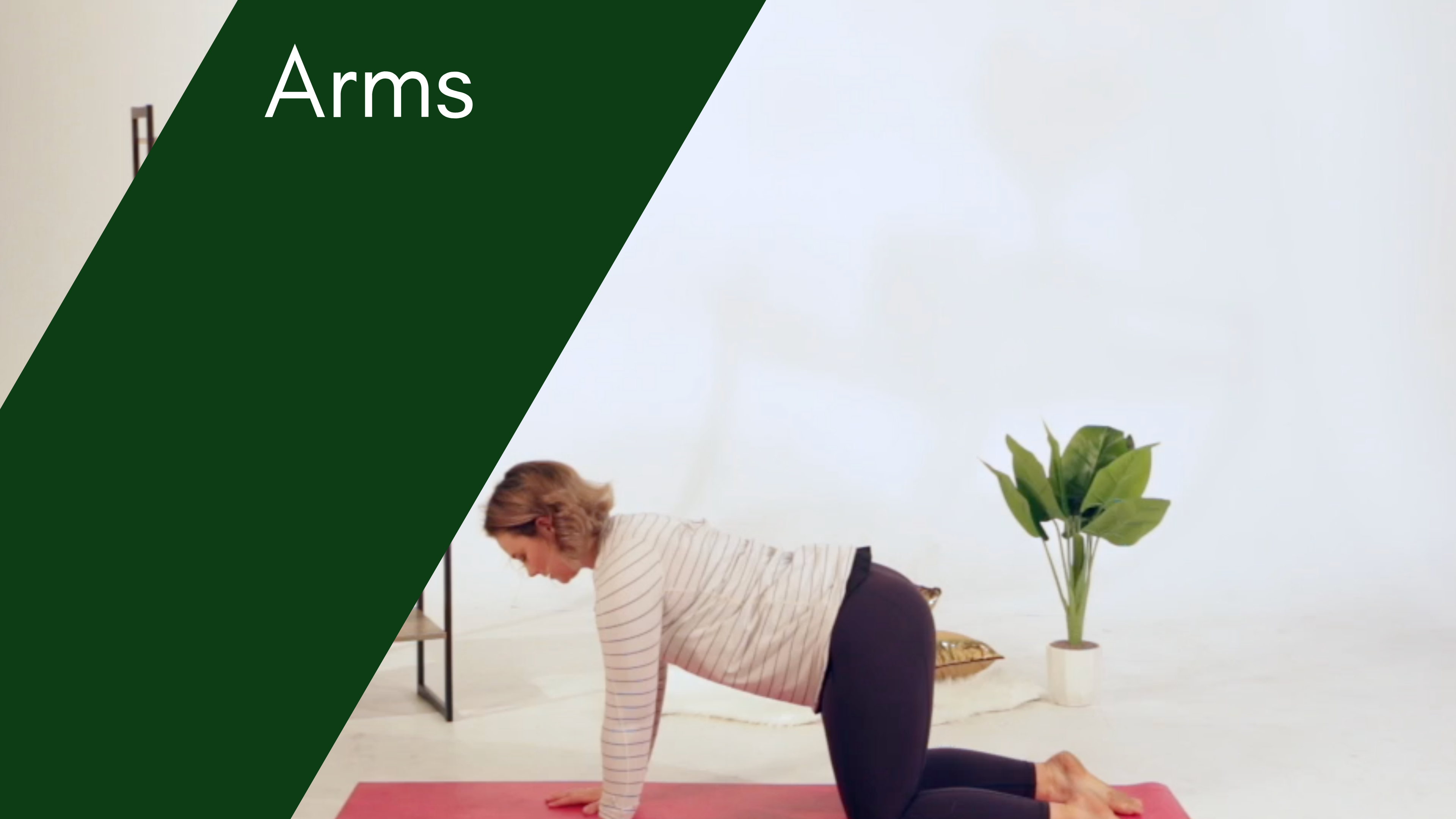 #3 Intermediate Arms