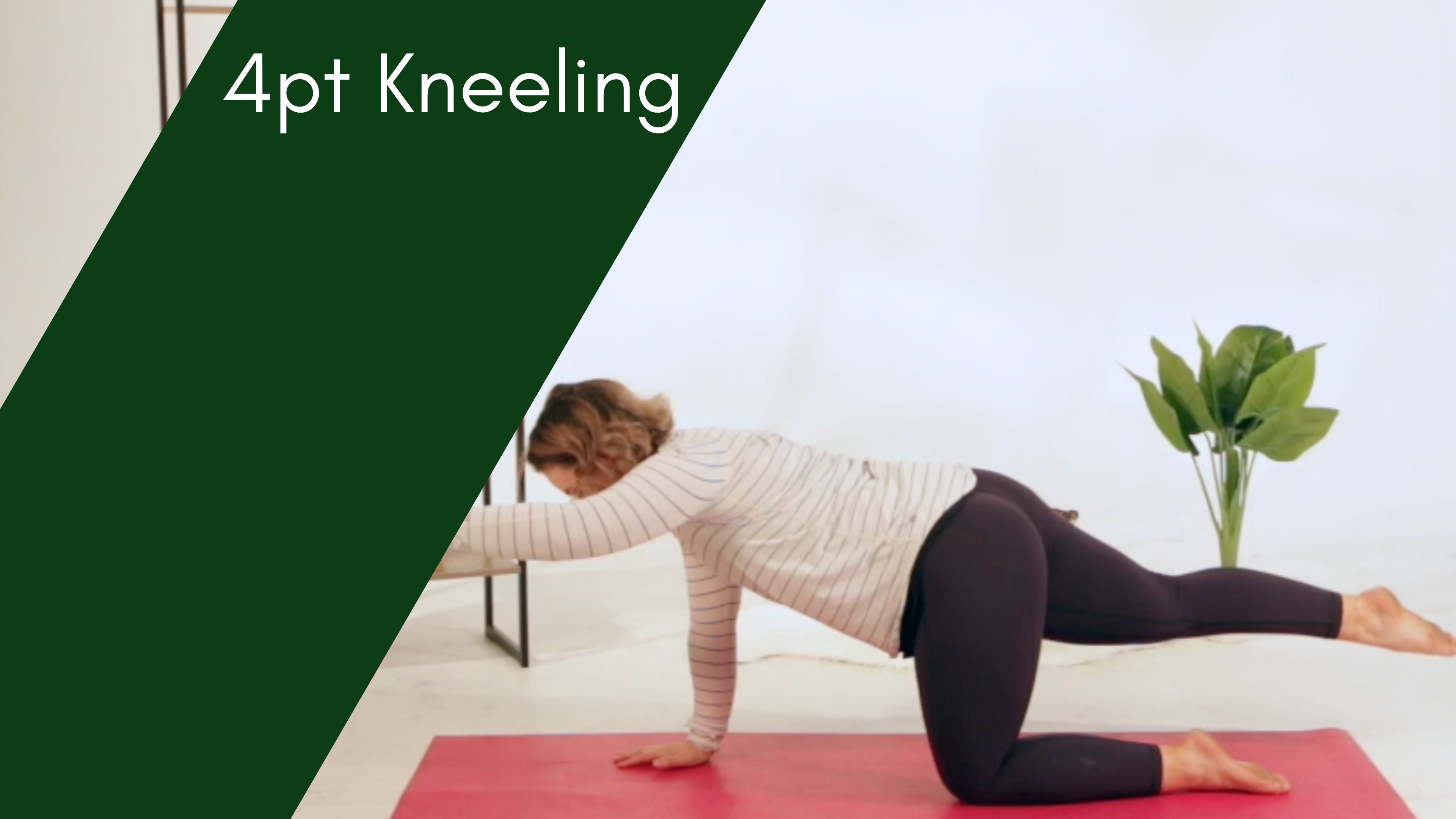 #5 Intermediate 4 Pt Kneeling