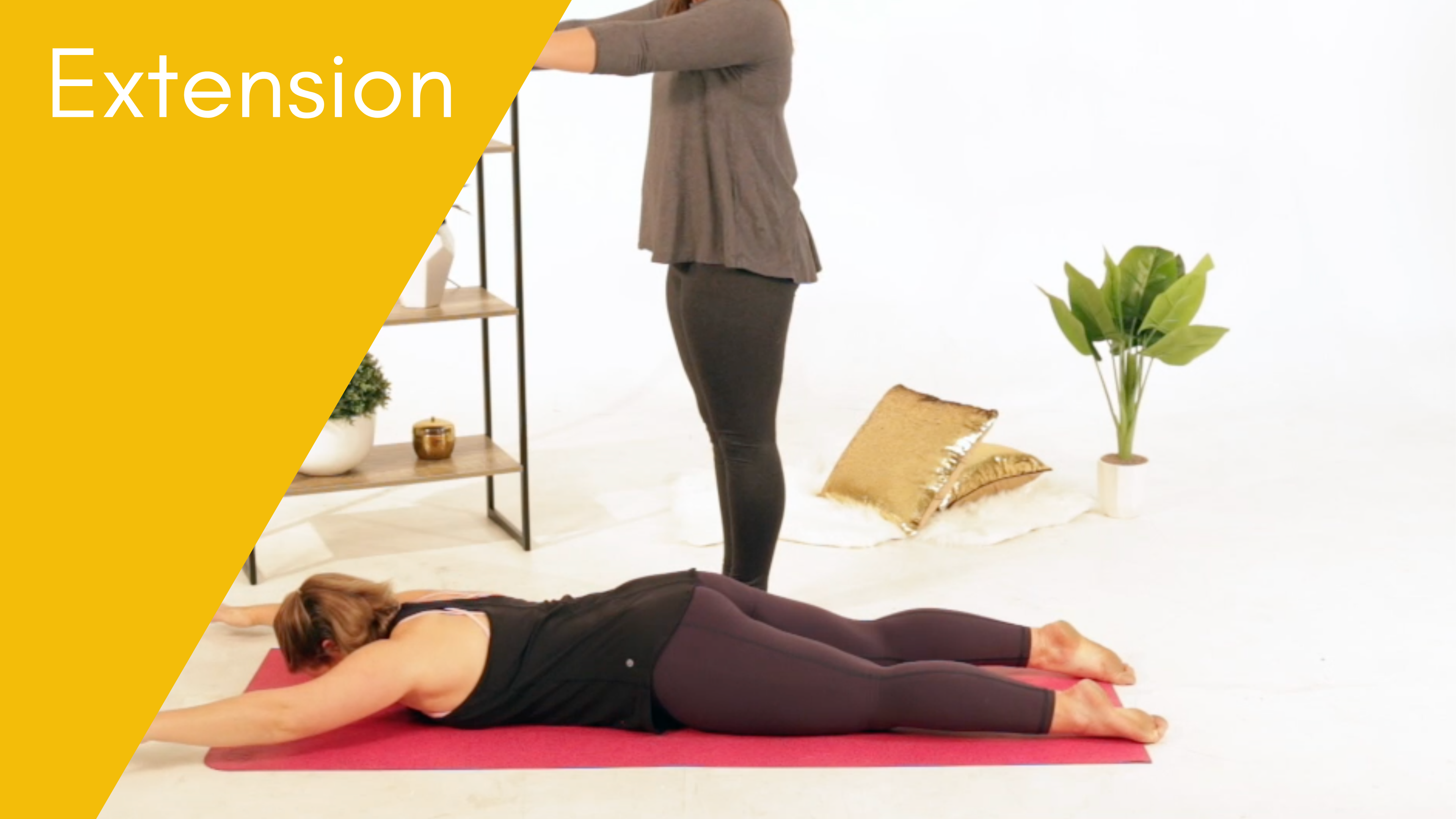 #4 Beginner Extension