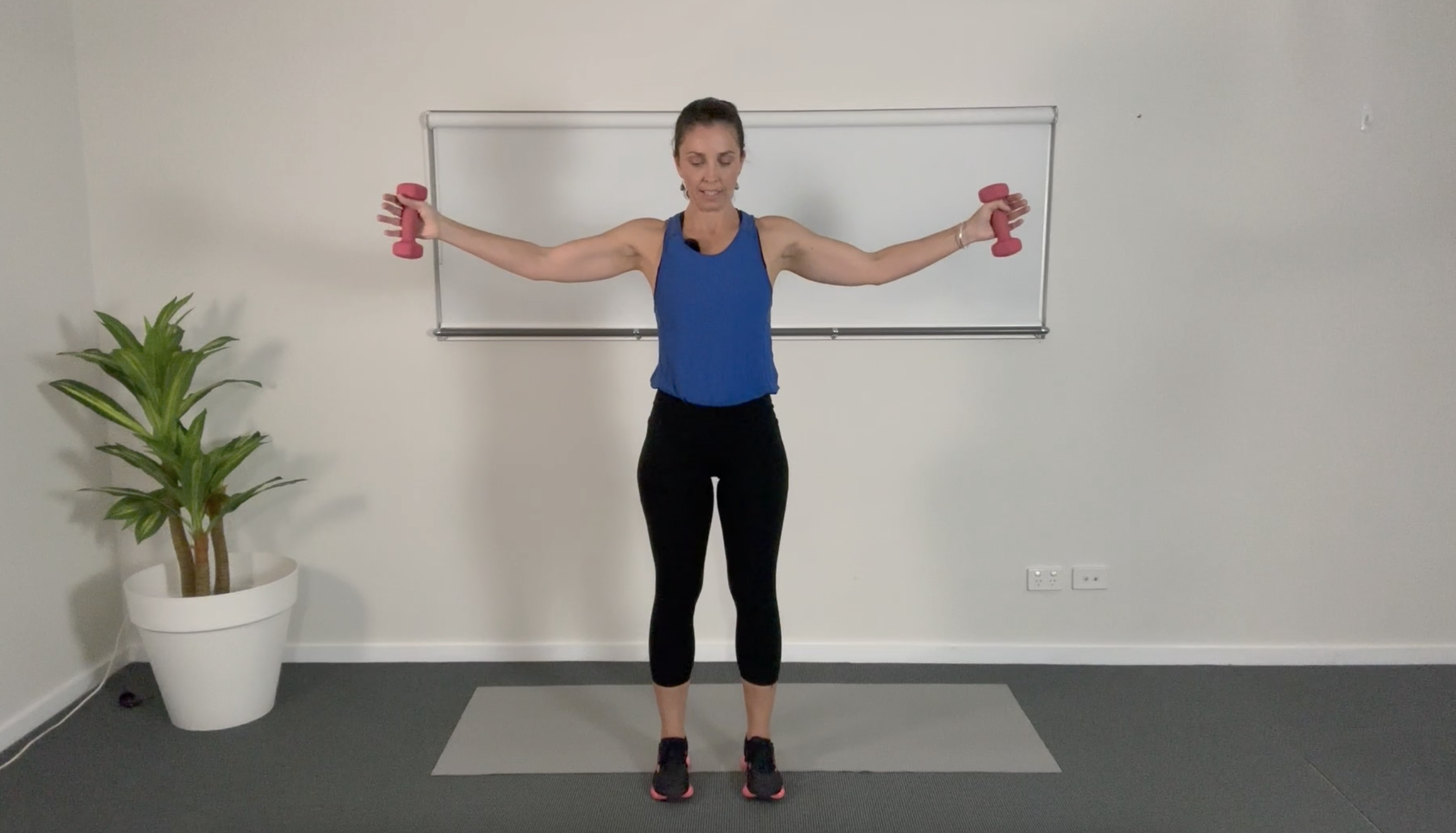 Strength and Conditioning Class 