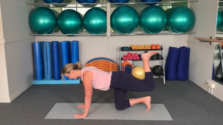 Pilates Physio Style Online Video