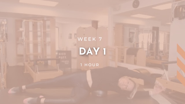 Week 7 - Day 1