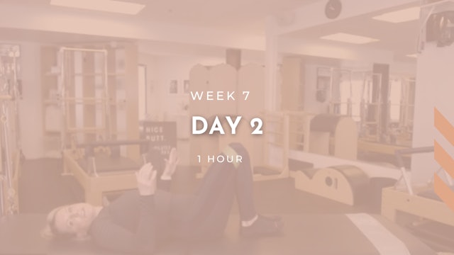 Week 7 - Day 2