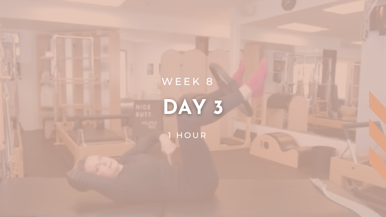 Week 8 - Day 3