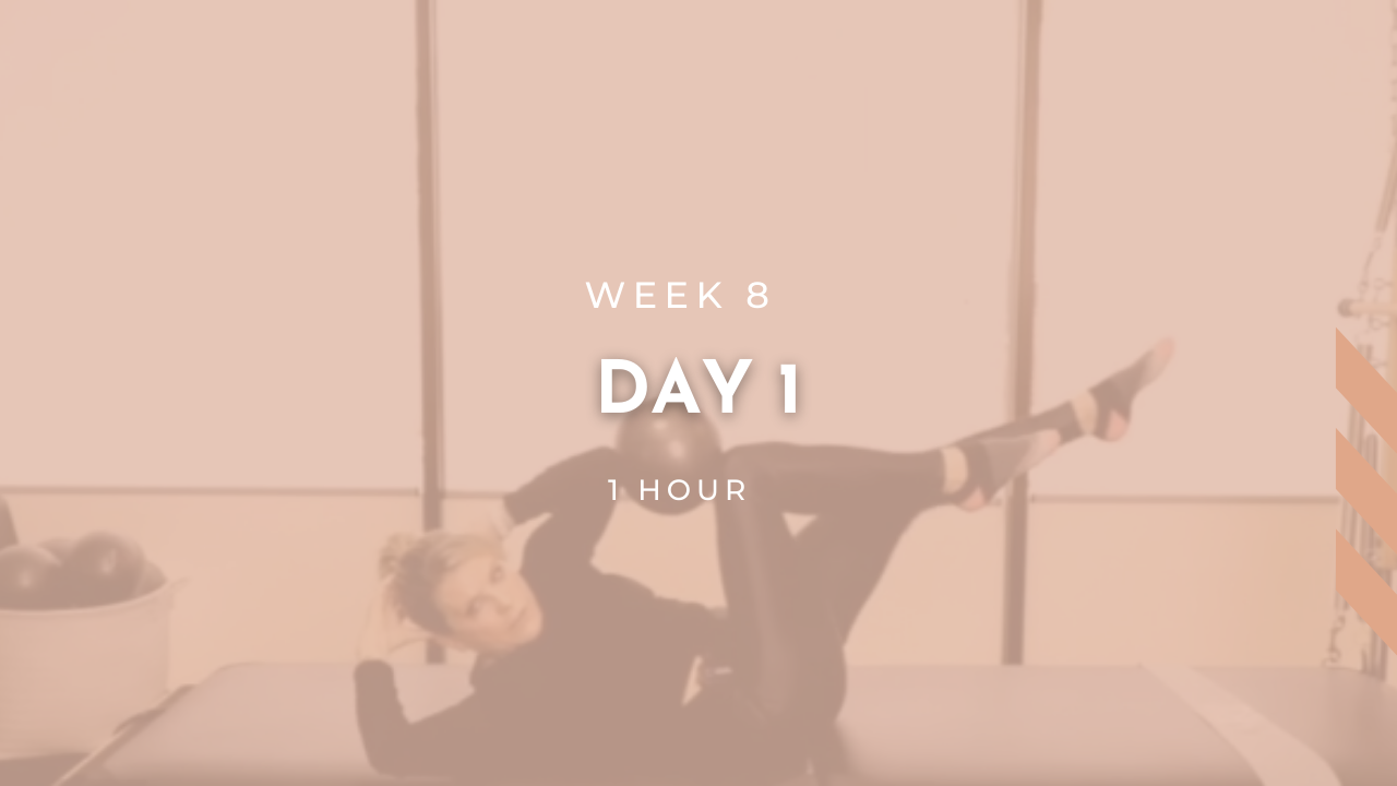 Week 8 - Day 1