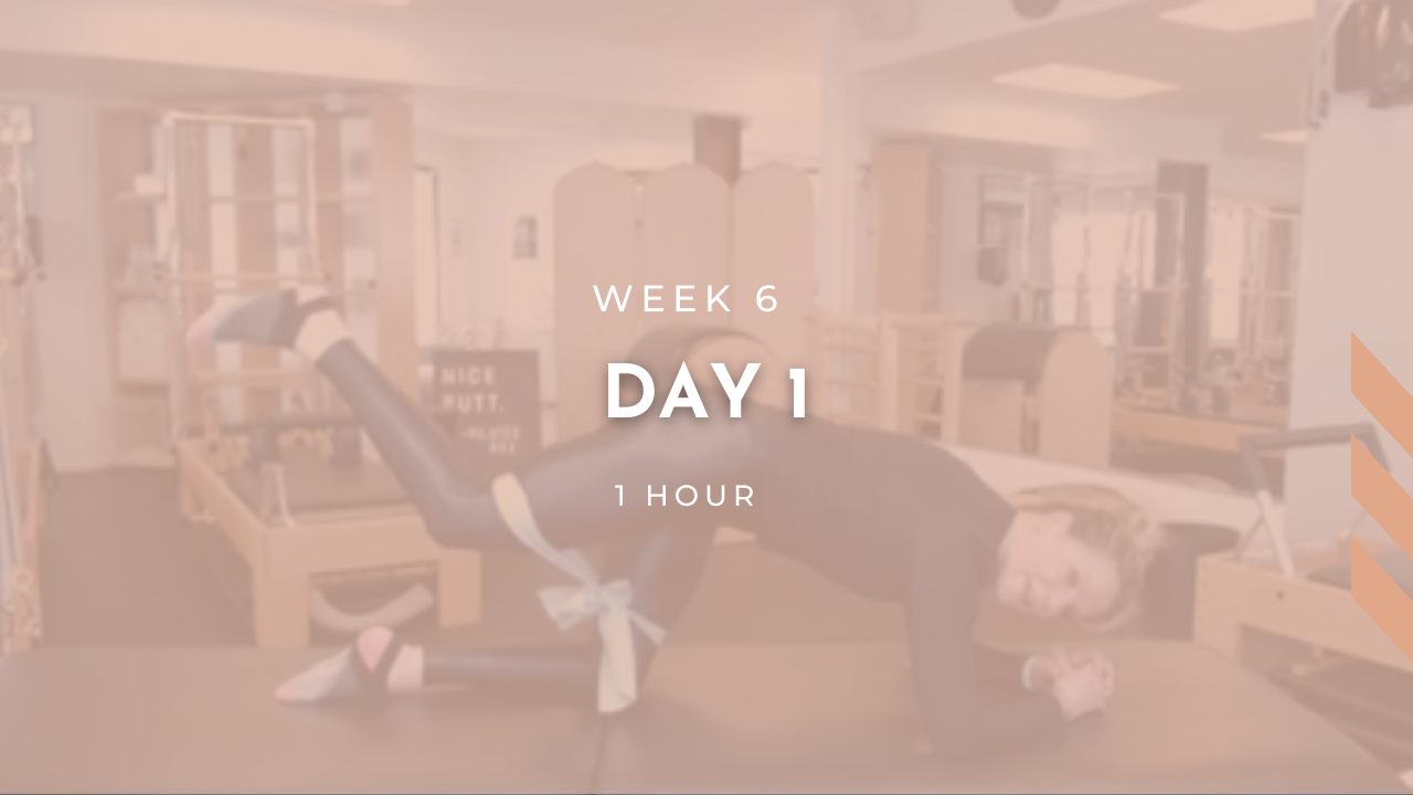 Week 6 - Day 1