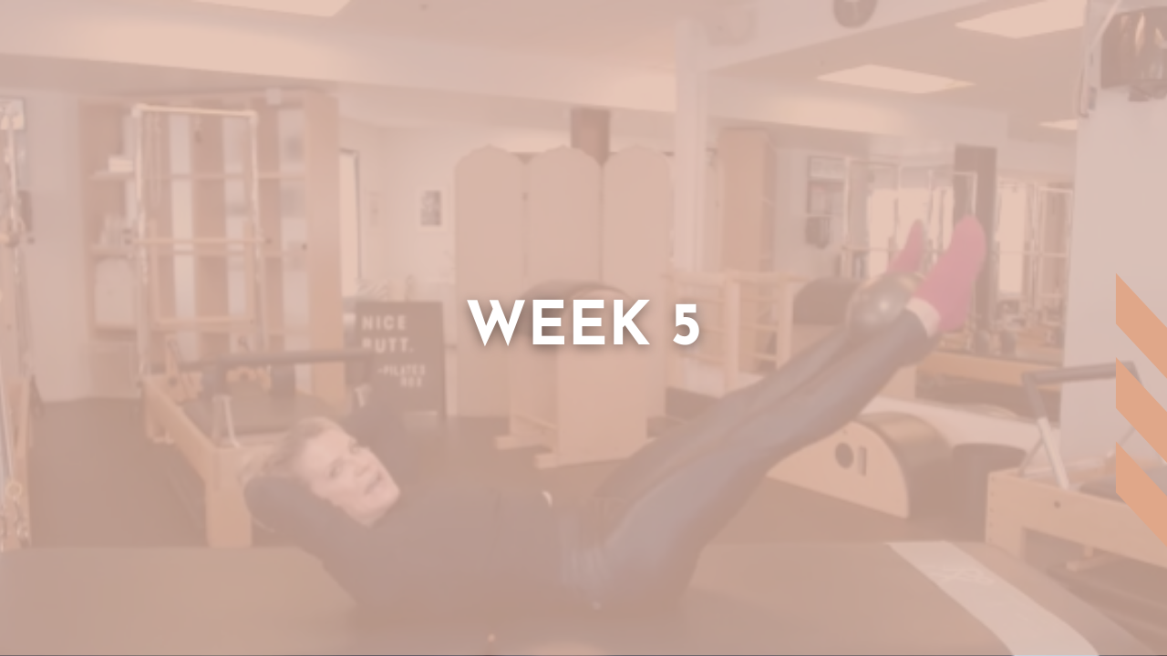 Week 5