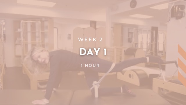 Week 2 - Day 1