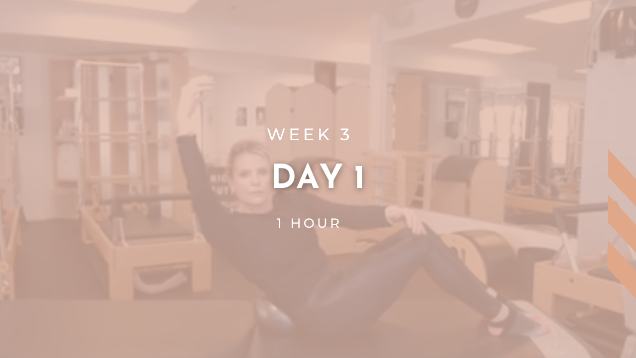 Week 3 - Day 1