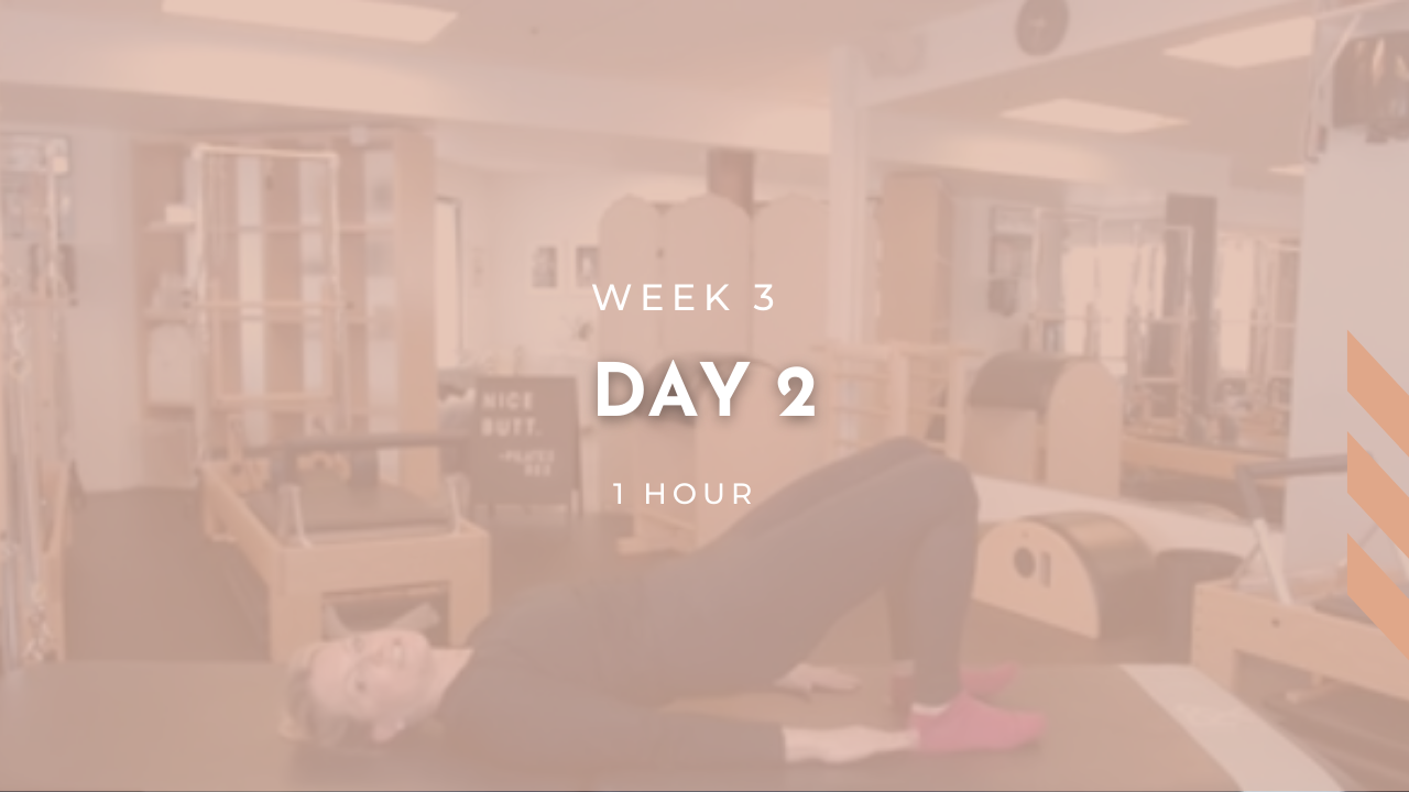 Week 3 - Day 2