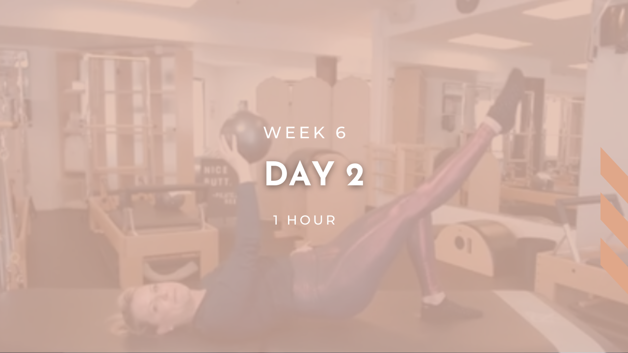 Week 6 - Day 2