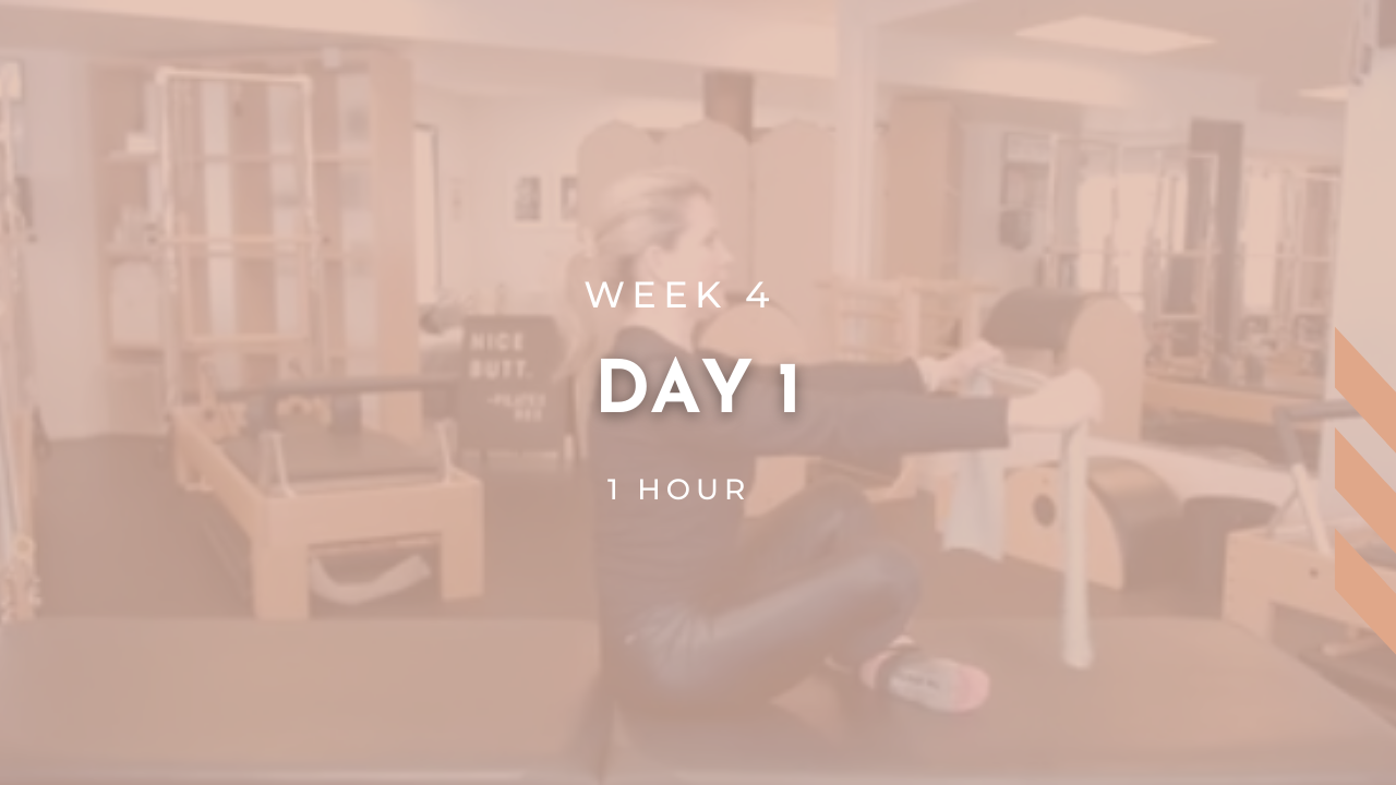 Week 4 - Day 1