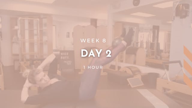 Week 8 - Day 2