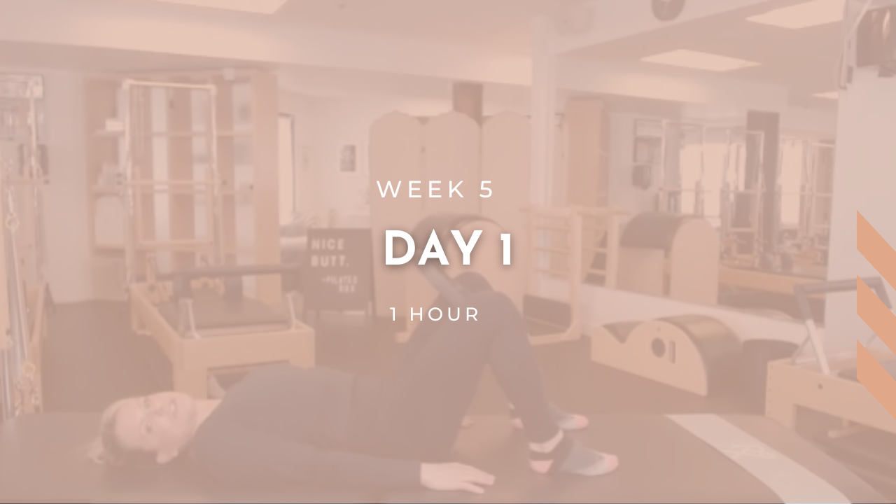 Week 5 - Day 1