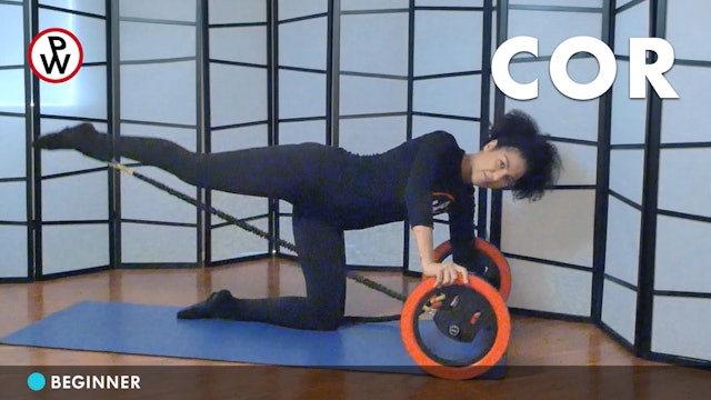 Full Workout (Over 30 minutes) - Pilates Wheel Digital
