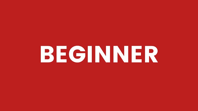 Beginner