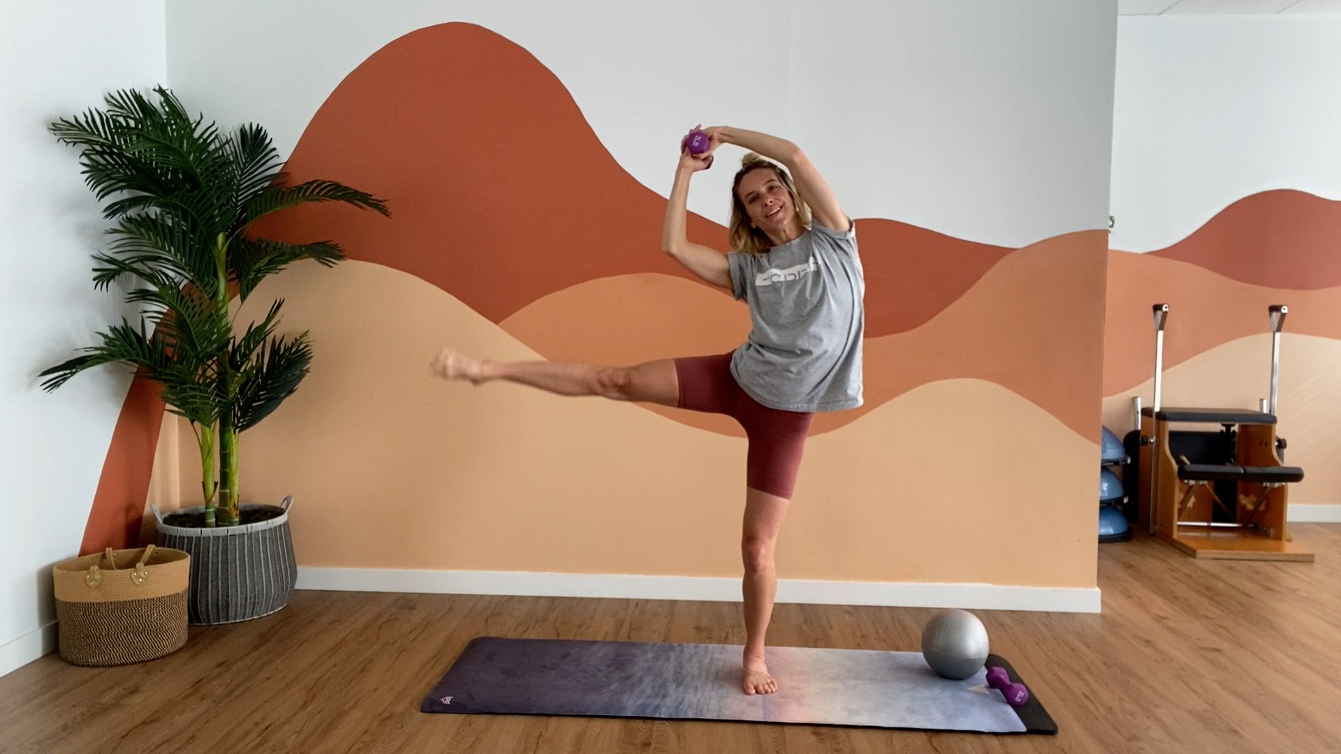 Full Body Ball Barre. 30 min