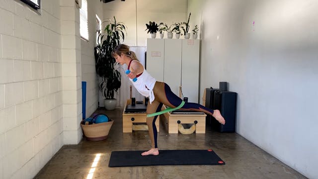 Arms, Glutes and Strong Bones Mat.  w...