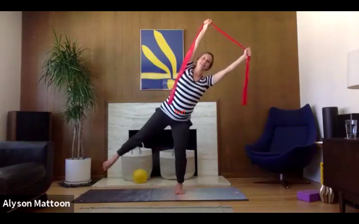 Prerecorded Live 55 min Pilates FIT Mat Classes