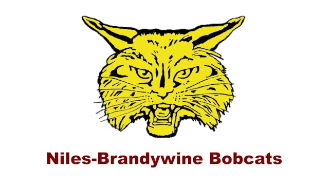 Niles Brandywine Pitchers