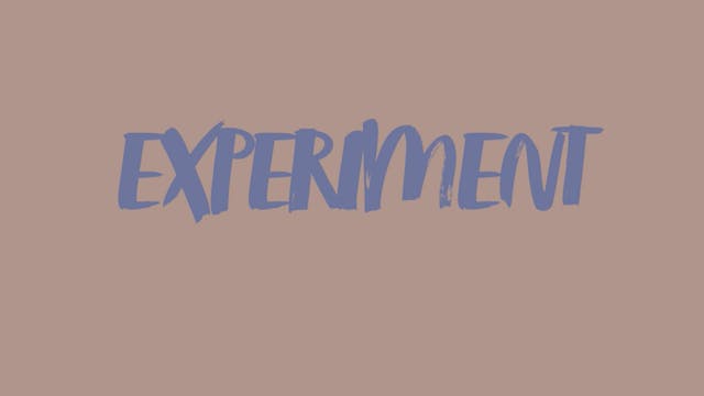 3. Experiment