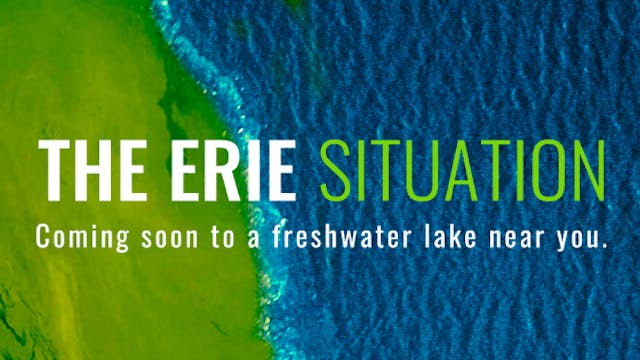 The Erie Situation (30 min)