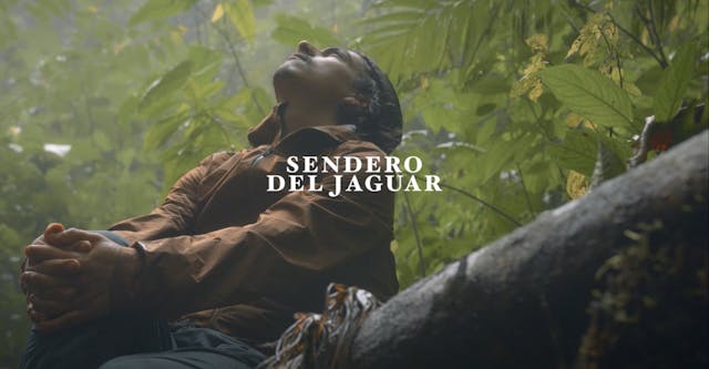 Sendero del Jaguar: A More than Human Relationship