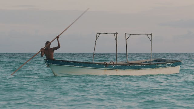 The Fisherman's Net