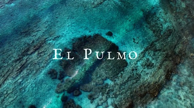 El Pulmo 