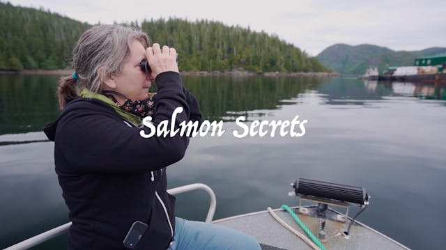 Salmon Secrets 