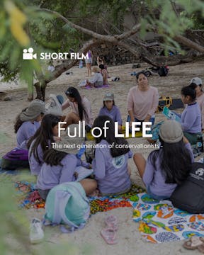 Full of Life 