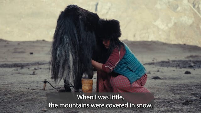 TRAILER_BHUTAN_TSFF