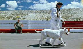 Bombón El Perro (trailer)