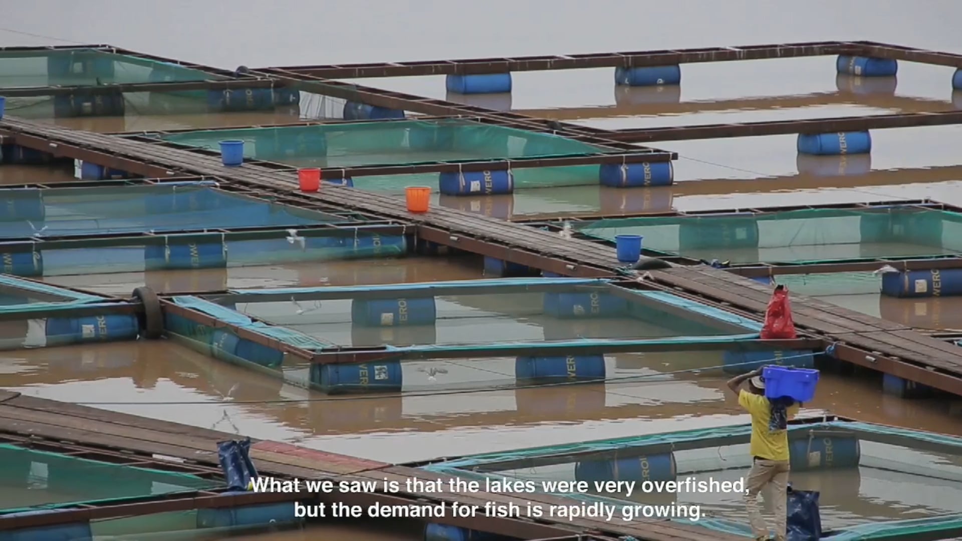SA Ethiopia - Sustainable Fish Farming