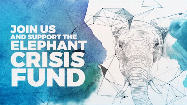 Elephant Crisis Fund narrated by Leon...
