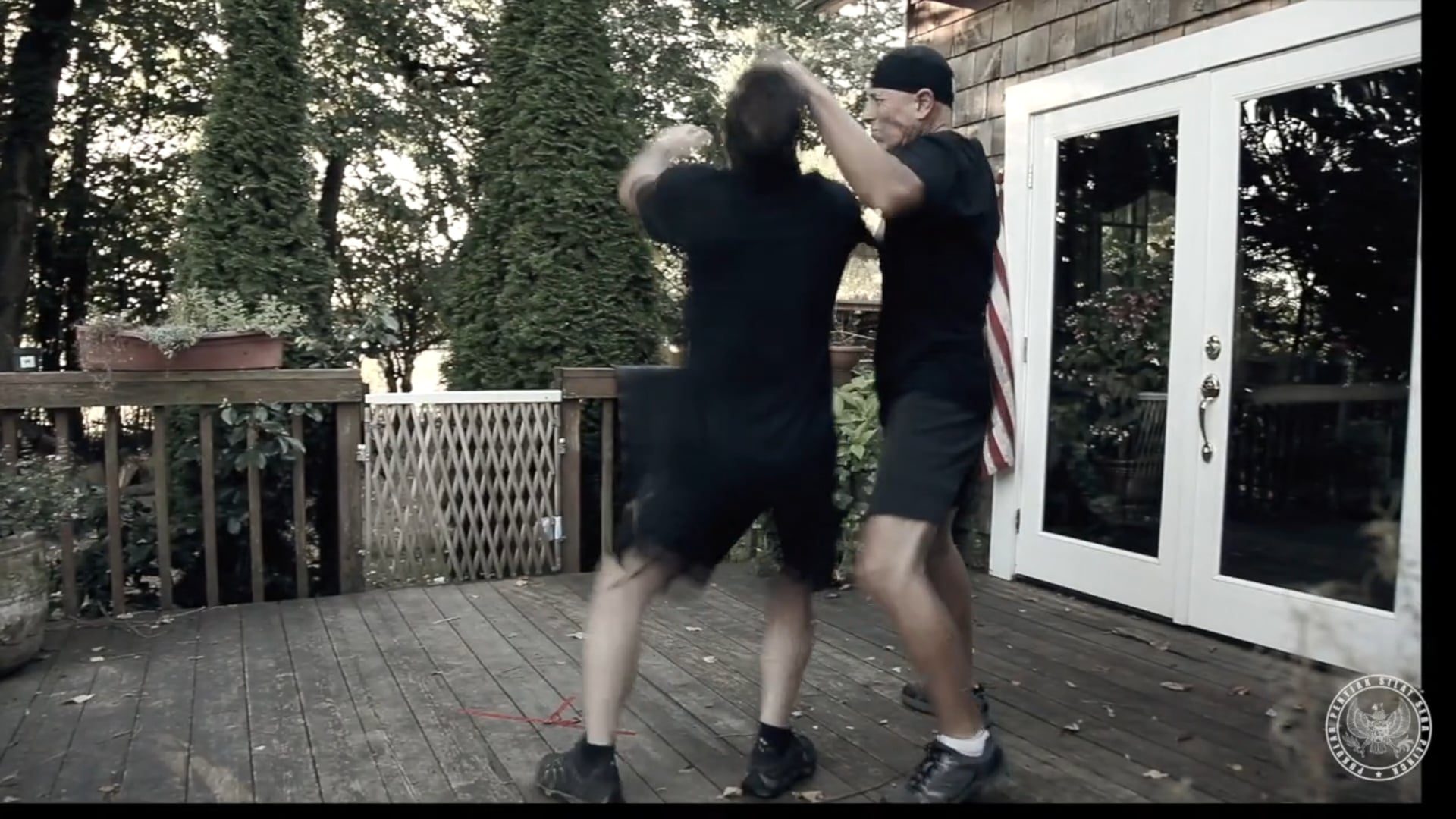 SPOT BASIC Episode 2