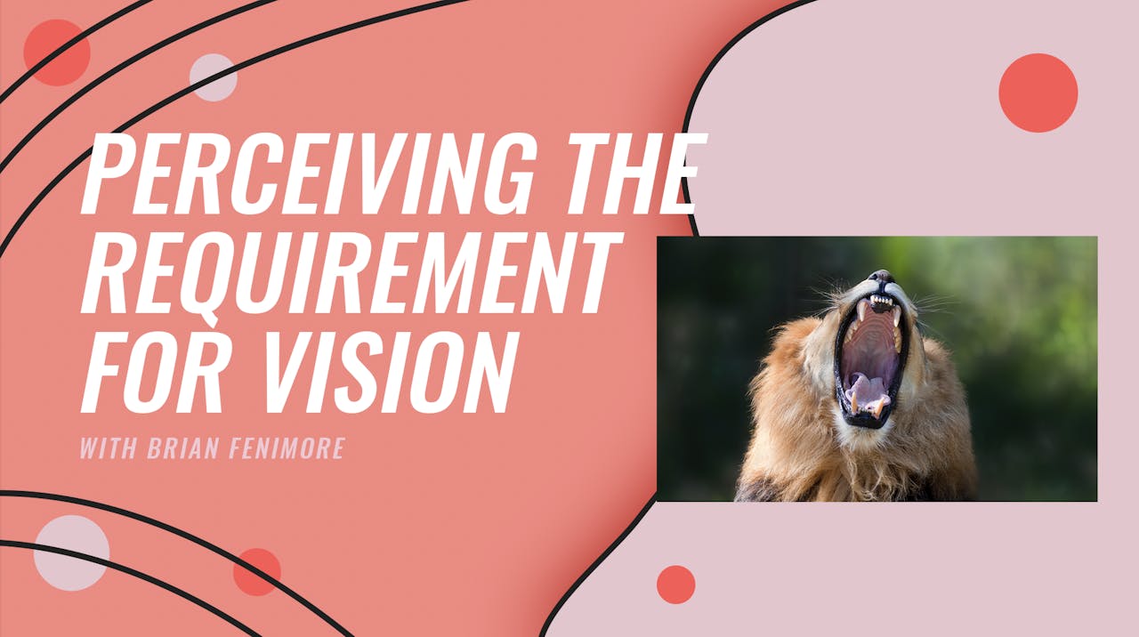 Perceiving The Requirements Of Vision - Season 1 - Plumbline Training