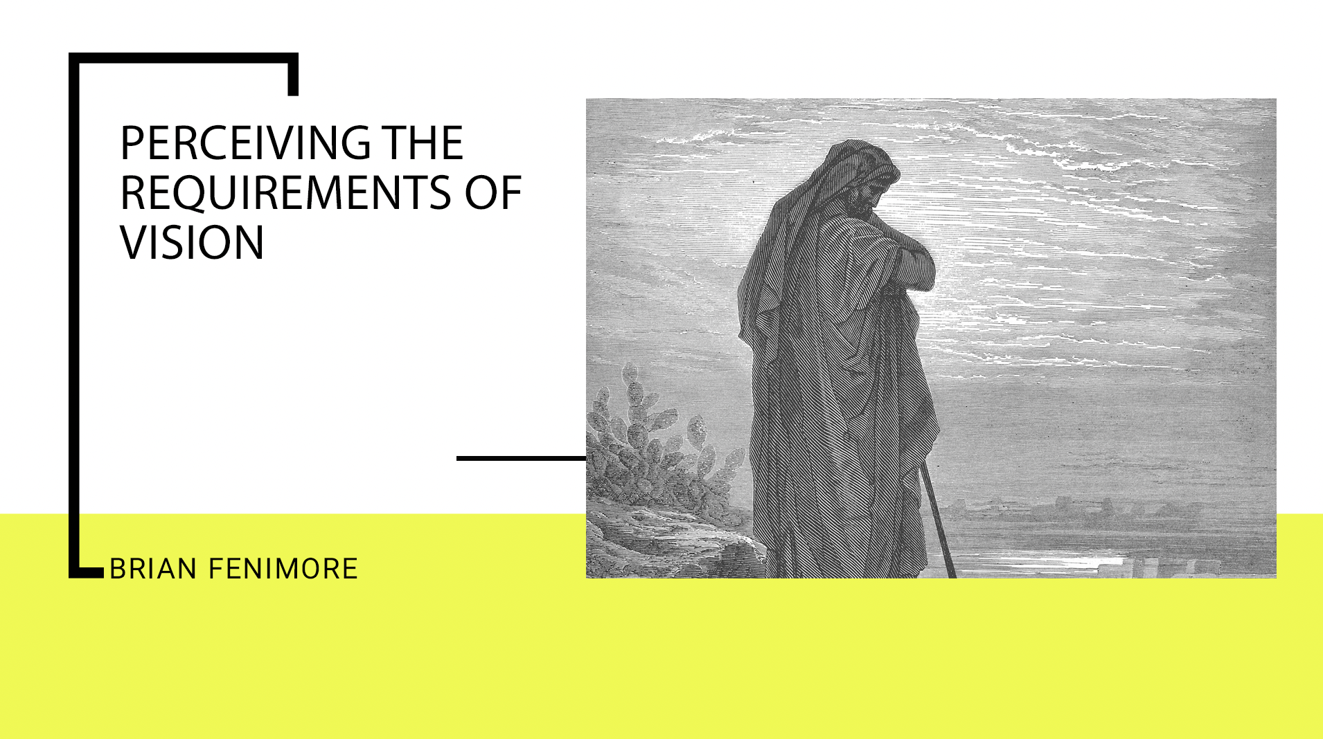 Perceiving The Requirements Of Vision