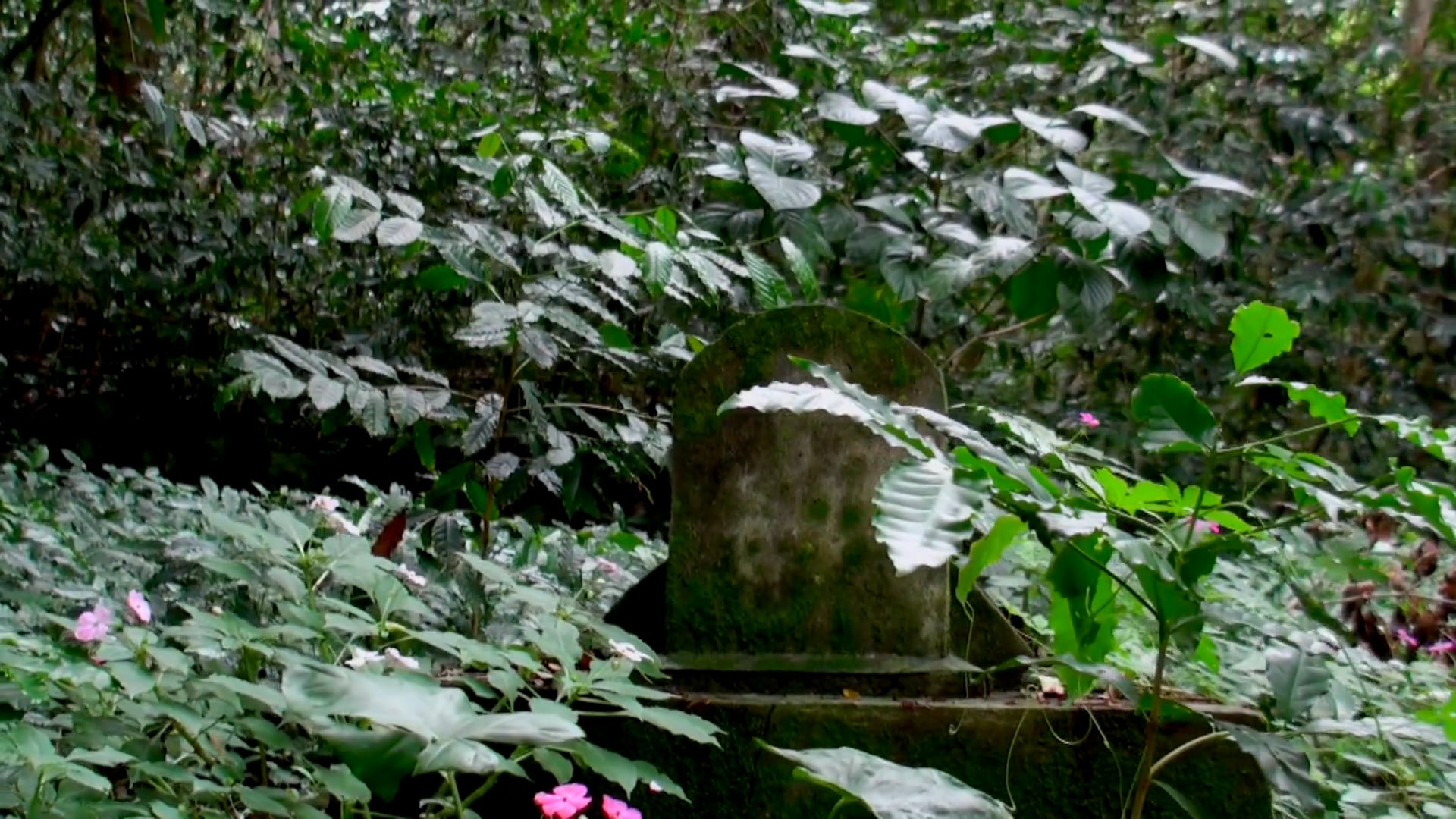 CousinsAcrosstheSeaFilm