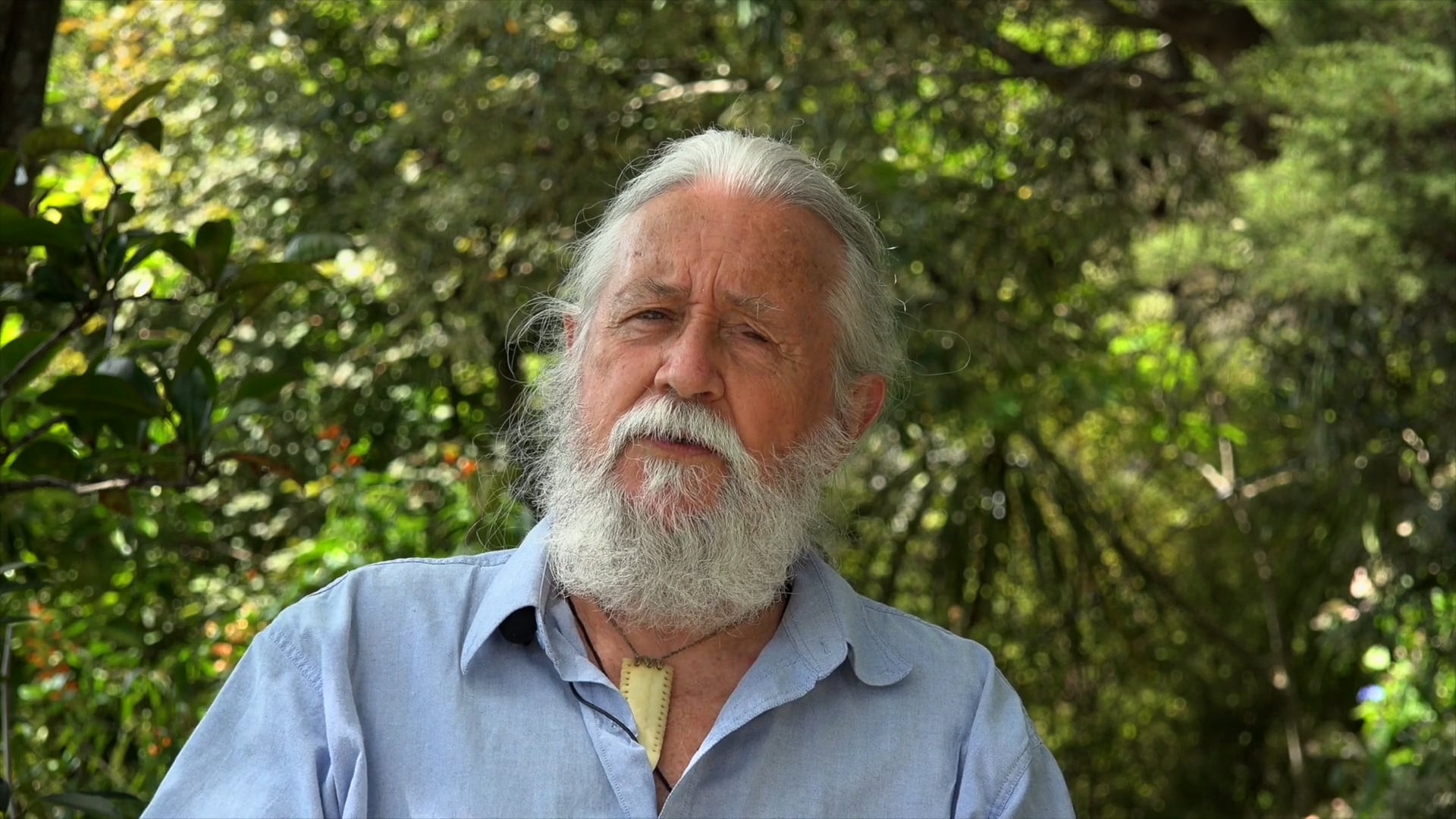 Under the Carpet Film